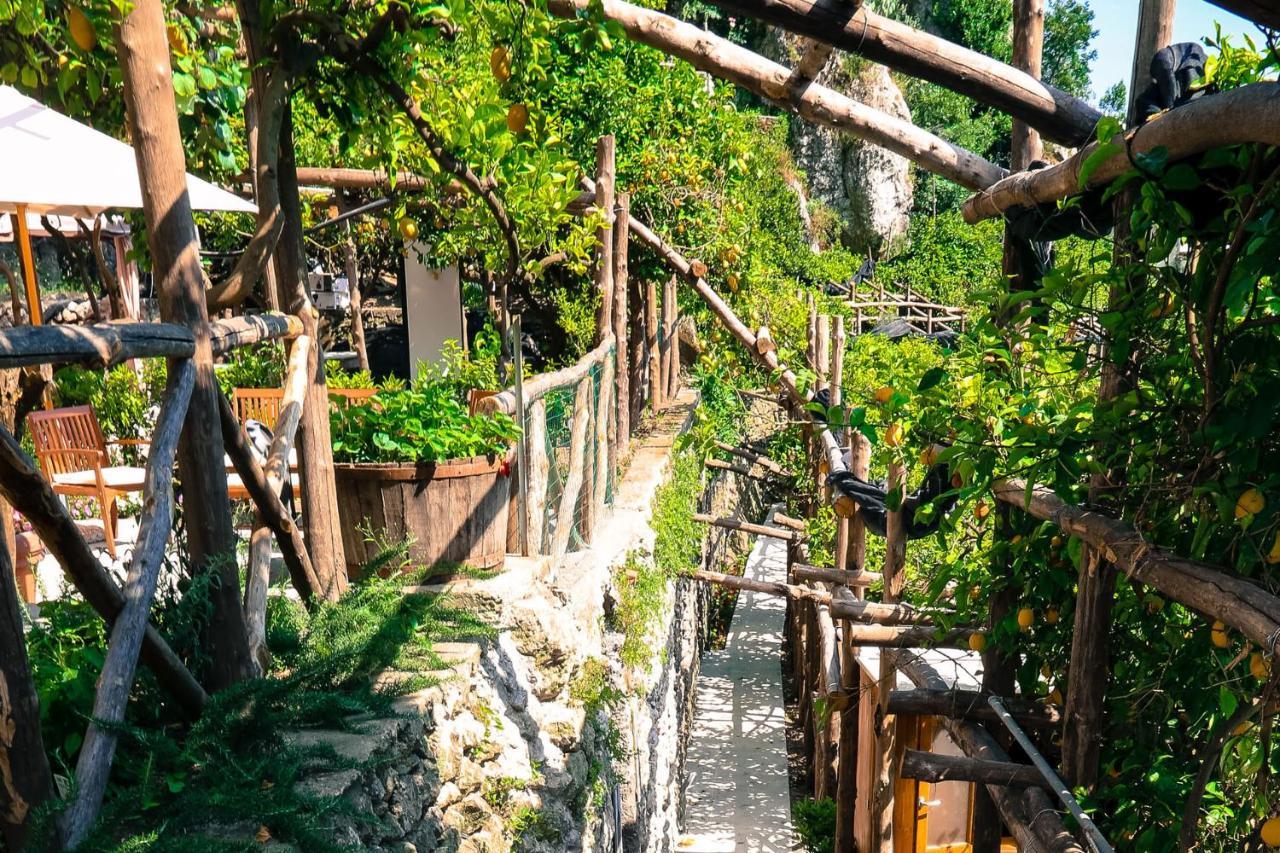 Poggio Angelarosa: Lemon Garden Stay&Relax Scala Exterior foto