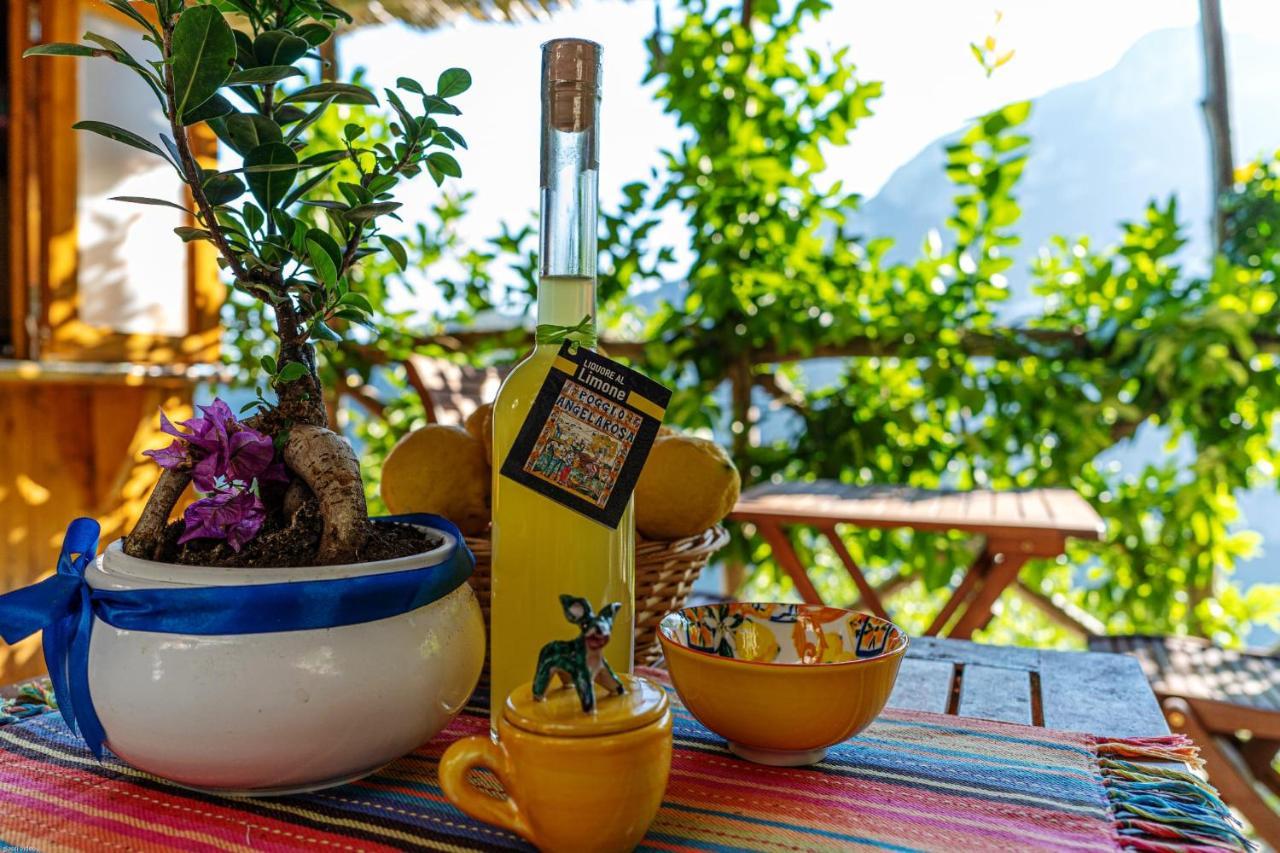 Poggio Angelarosa: Lemon Garden Stay&Relax Scala Exterior foto